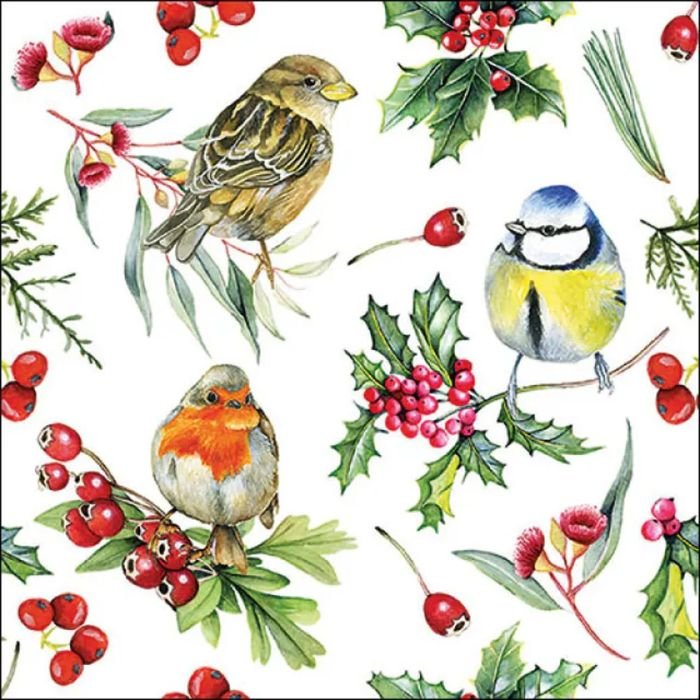 Salvetes 33cm 3-k. 20gab BIRDS IN WINTER
