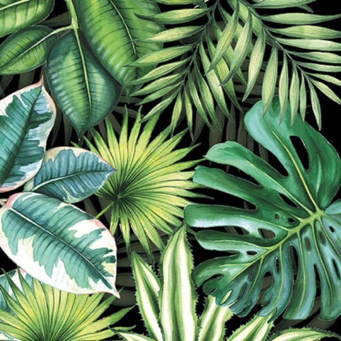 Salvetes 33cm 3-k. 20gab TROPICAL LEAVES BLACK