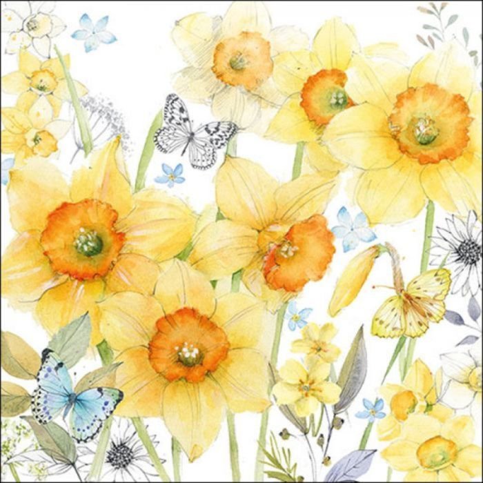Salvetes 33cm 3-k. 20gab CLASSIC DAFFODILS