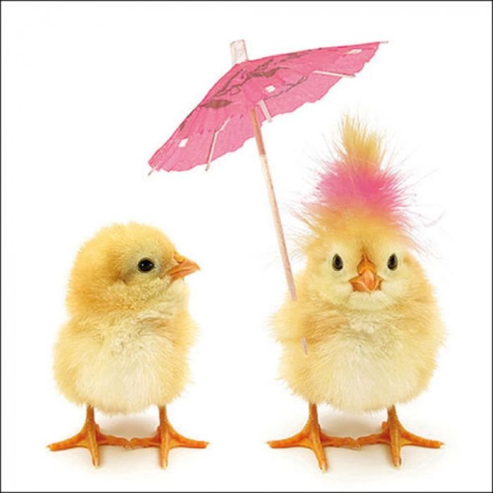 Napkin 33 Easter chicks FSC Mix