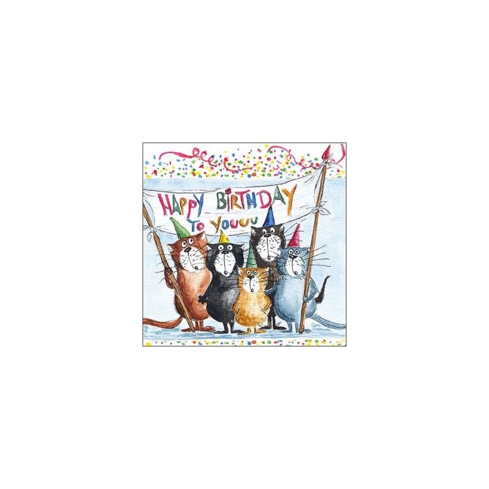 Salvetes 33cm 3-k. 20gb CATS BIRTHDAY