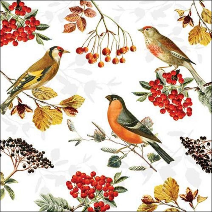 Salvetes 33cm 3-k. 20gab AUTUMN BIRDS