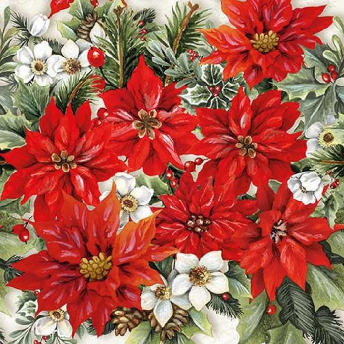 Salvetes 33cm 3-k. 20gb POINSETTIA ALL OVER