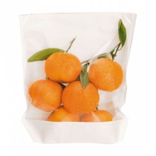 Paper bag 20x24/21x3.5cm 100pcs white with window TURTLE