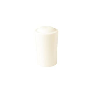SALT SHAKER