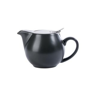 Tējkanna 350ml pelēka EVOLVE ar vāku