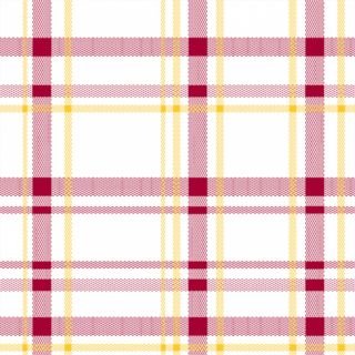 Salvetes 40x40cm bordo rūtainas 50gab