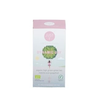 Tēja zāļu DYNAMIC DAY BIO 1gx20 Double chamber bag