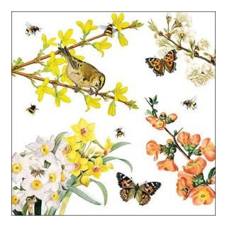 Salvetes 33cm 3-k. 20gb SPRING AWAKENING