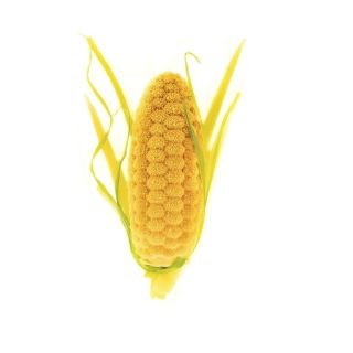 Forma silikona 68.5x26.4 h-21.2mm 12x20ml PANNOCCHIA 20