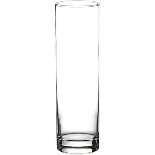 Vāze stikla BOTANICA CYLINDER h-26.5cm