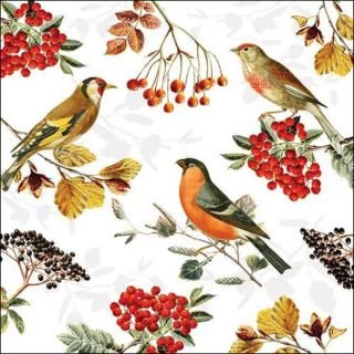 Salvetes 33cm 3-k. 20gab AUTUMN BIRDS